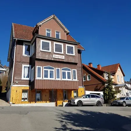 Apartment Haus Bergeshöh Braunlage