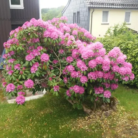 Haus Bergeshoeh Lejlighed Braunlage